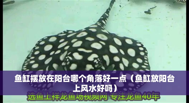 魚缸擺放在陽(yáng)臺(tái)哪個(gè)角落好一點(diǎn)（魚缸放陽(yáng)臺(tái)上風(fēng)水好嗎）