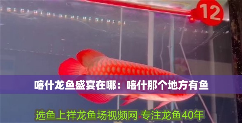 喀什龍魚盛宴在哪：喀什那個地方有魚
