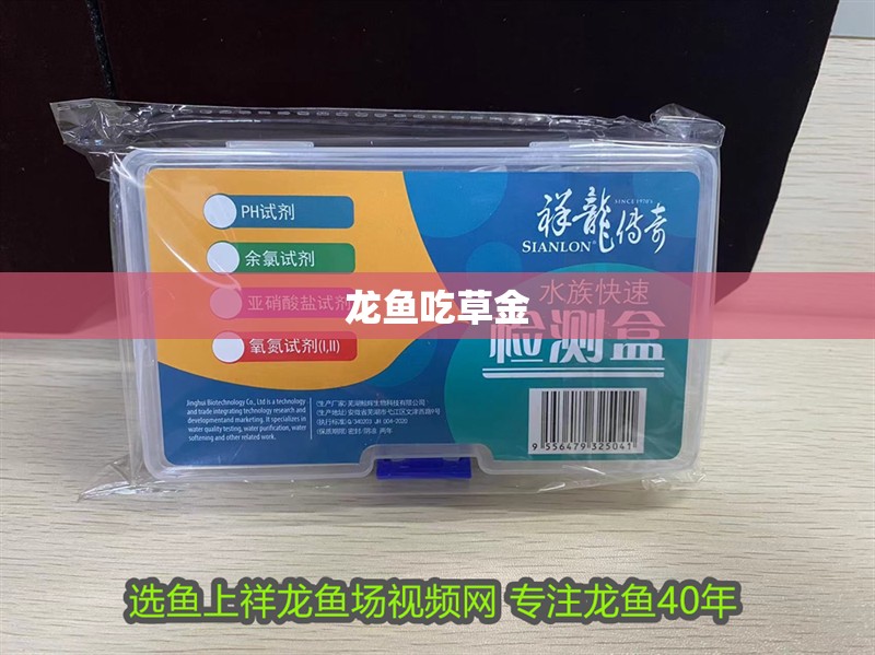 龍魚吃草金 龍魚吃草金 龍魚百科 第2張