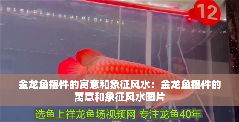 金龍魚擺件的寓意和象征風水：金龍魚擺件的寓意和象征風水圖片