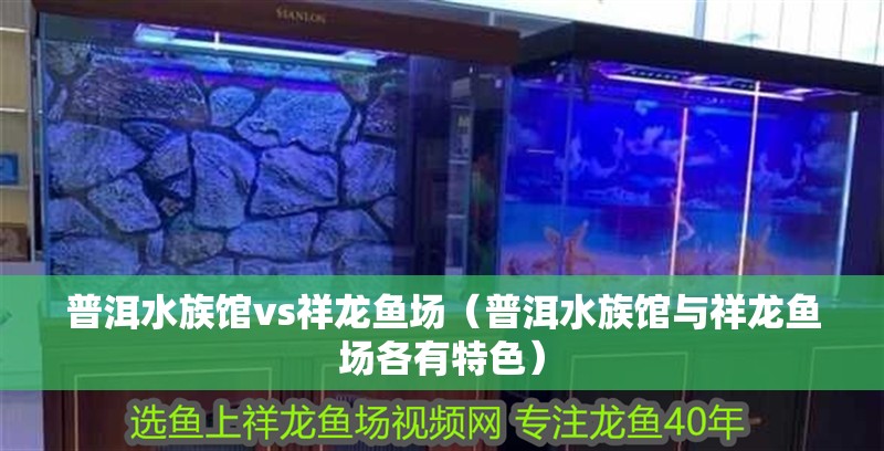<strong><mark>普洱</mark></strong>水族館vs祥龍魚場（<strong><mark>普洱</mark></strong>水族館與祥龍魚場各有特色）