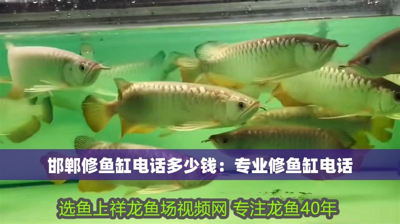 邯鄲修魚缸電話多少錢：專業修魚缸電話
