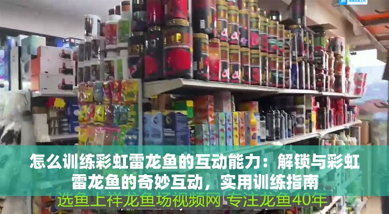 怎么訓練彩虹雷龍魚的互動能力：解鎖與彩虹雷龍魚的奇妙互動，實用訓練指南