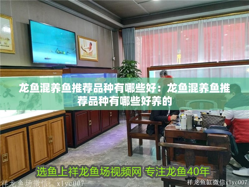 龍魚混養魚推薦品種有哪些好：龍魚混養魚推薦品種有哪些好養的
