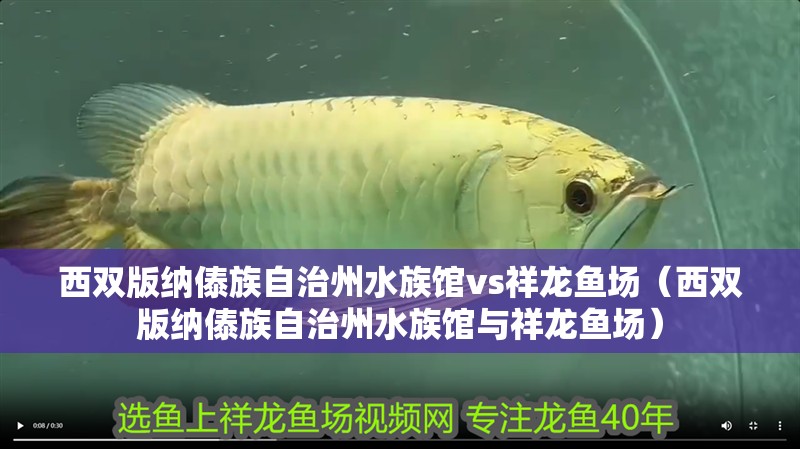 西雙版納傣族自治州水族館vs祥龍魚場（西雙版納傣族自治州水族館與祥龍魚場） 西雙版納傣族自治州水族館vs祥龍魚場（西雙版納傣族自治州水族館與祥龍魚場） 全國水族館企業名錄 第1張
