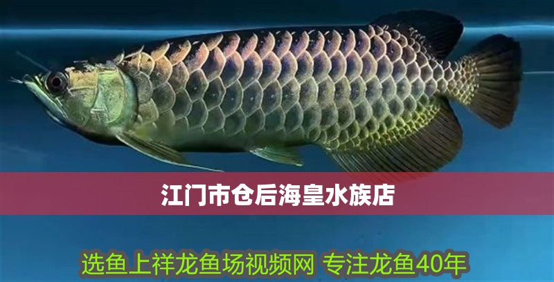 江門市倉后海皇水族店 全國水族館企業名錄 第1張 江門市倉后海皇水族店 江門市倉后海皇水族店 全國水族館企業名錄 第1張