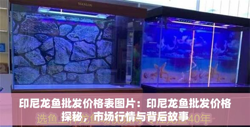 印尼龍魚批發(fā)價格表圖片：印尼龍魚批發(fā)價格探秘，市場行情與背后故事