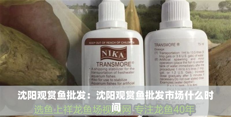 沈陽觀賞魚批發：沈陽觀賞魚批發市場什么時間