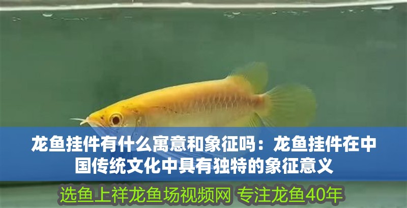 龍魚掛件有什么寓意和象征嗎：龍魚掛件在中國傳統文化中具有獨特的象征意義