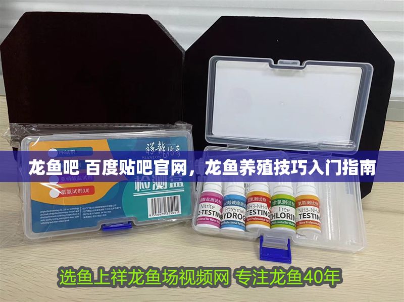 龍魚吧 百度貼吧官網，龍魚養殖技巧入門指南