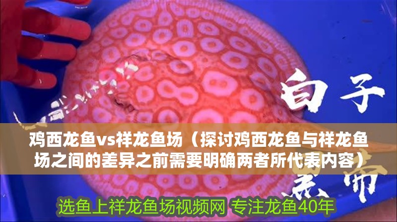 雞西龍魚vs祥龍魚場（探討雞西龍魚與祥龍魚場之間的差異之前需要明確兩者所代表內容） 雞西龍魚vs祥龍魚場（探討雞西龍魚與祥龍魚場之間的差異之前需要明確兩者所代表內容） 全國水族館企業名錄 第2張