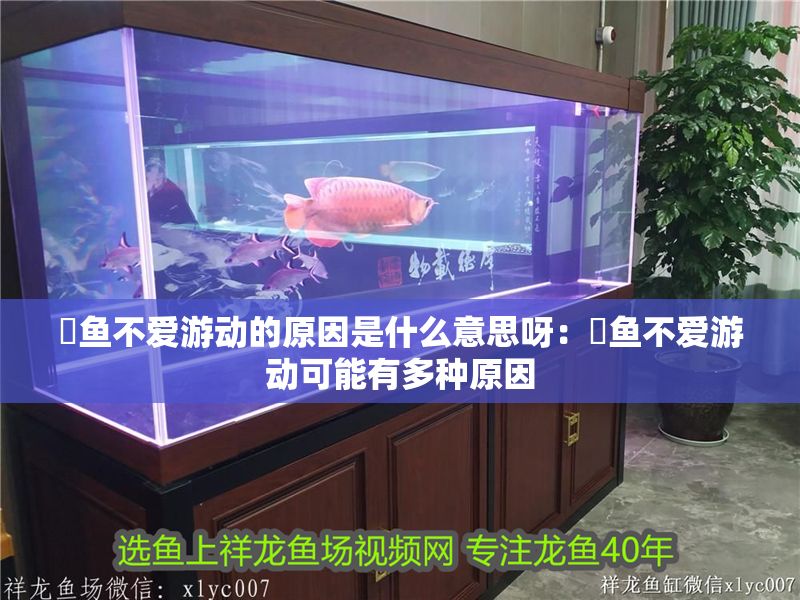 魟魚不愛游動的原因是什么意思呀：魟魚不愛游動可能有多種原因