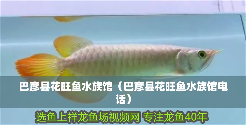 巴彥縣花旺魚水族館（巴彥縣花旺魚水族館電話）