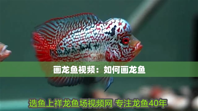 畫龍魚視頻：如何畫龍魚