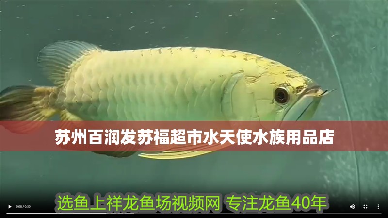 蘇州百潤發蘇福超市水天使水族用品店 蘇州百潤發蘇福超市水天使水族用品店 全國水族館企業名錄 第2張