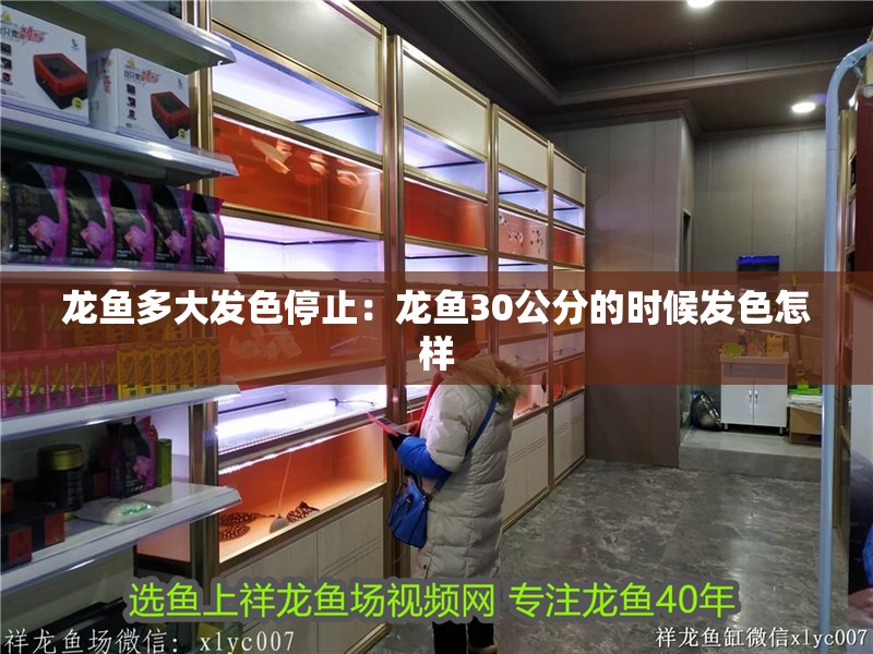 龍魚多大發色停止：龍魚30公分的時候發色怎樣