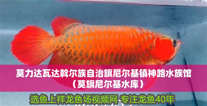 莫力達(dá)瓦達(dá)斡爾族自治旗尼爾基鎮(zhèn)神路水族館（莫旗尼爾基水庫(kù)） 莫力達(dá)瓦達(dá)斡爾族自治旗尼爾基鎮(zhèn)神路水族館（莫旗尼爾基水庫(kù)） 全國(guó)水族館企業(yè)名錄 第2張