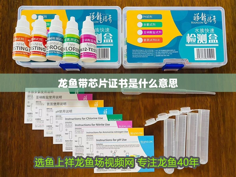 龍魚帶芯片證書是什么意思