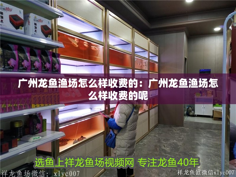 廣州龍魚漁場怎么樣收費(fèi)的：廣州龍魚漁場怎么樣收費(fèi)的呢