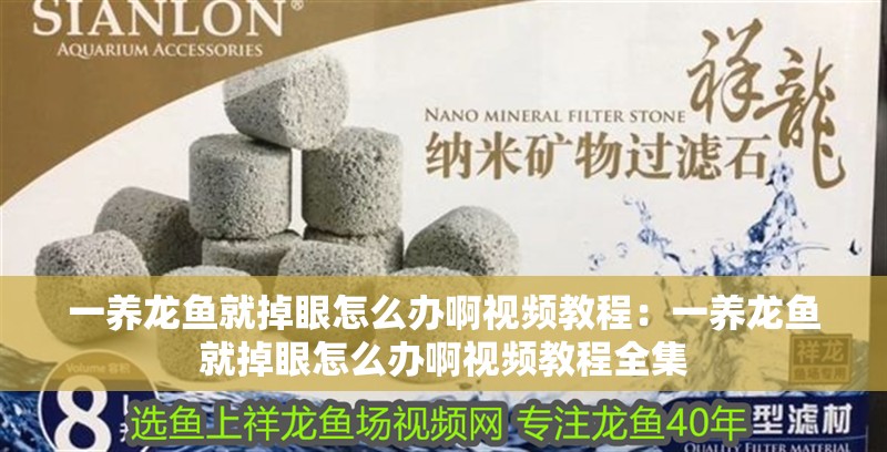 一養龍魚就掉眼怎么辦啊視頻教程：一養龍魚就掉眼怎么辦啊視頻教程全集 一養龍魚就掉眼怎么辦啊視頻教程：一養龍魚就掉眼怎么辦啊視頻教程全集 水族問答