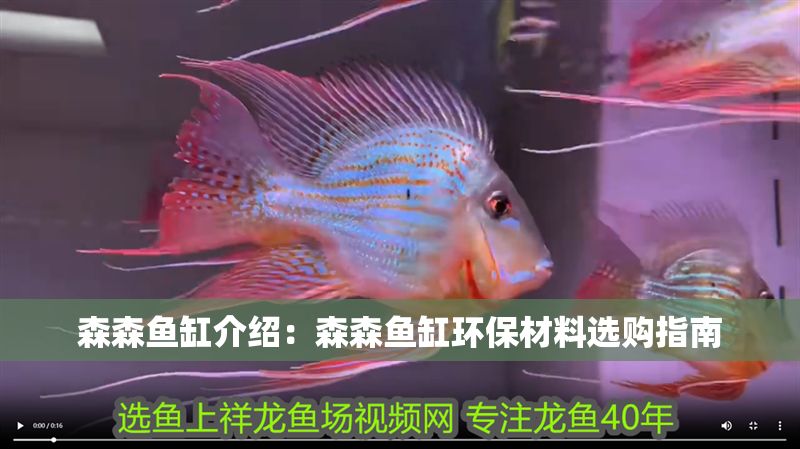 森森魚缸介紹：森森魚缸環保材料選購指南