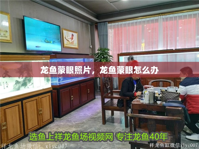 龍魚蒙眼照片，龍魚蒙眼怎么辦