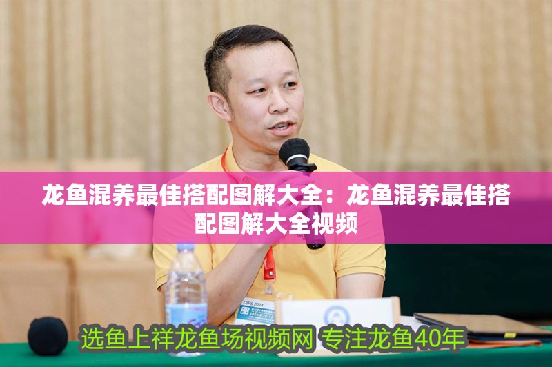 龍魚混養最佳搭配圖解大全：龍魚混養最佳搭配圖解大全視頻 龍魚混養最佳搭配圖解大全：龍魚混養最佳搭配圖解大全視頻 水族問答