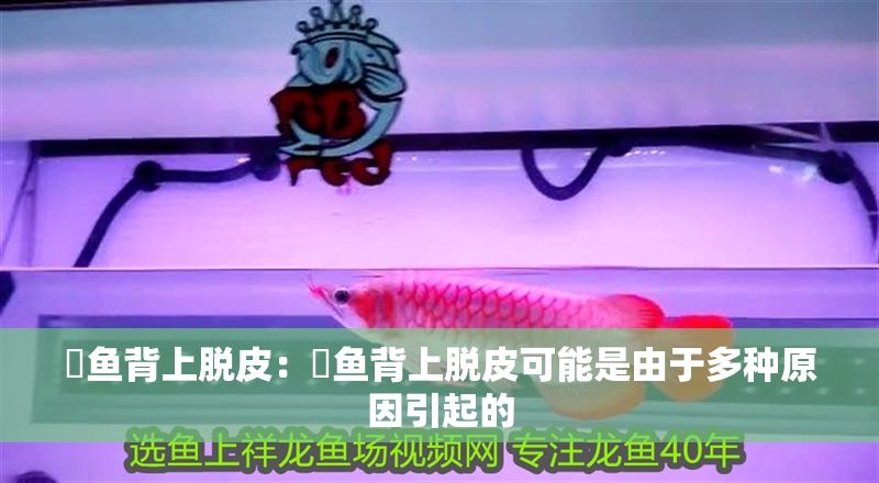 魟魚背上脫皮：魟魚背上脫皮可能是由于多種原因引起的