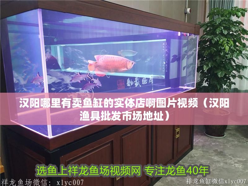 漢陽哪里有賣魚缸的實體店啊圖片視頻（漢陽漁具批發市場地址）