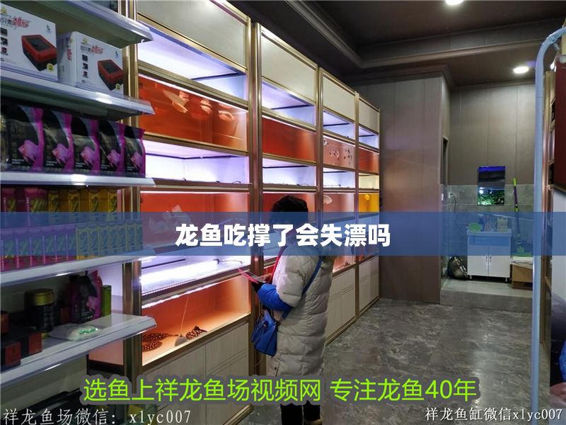 龍魚吃撐了會失漂嗎