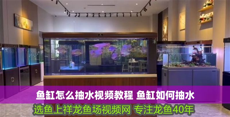 魚缸怎么抽水視頻教程 魚缸如何抽水