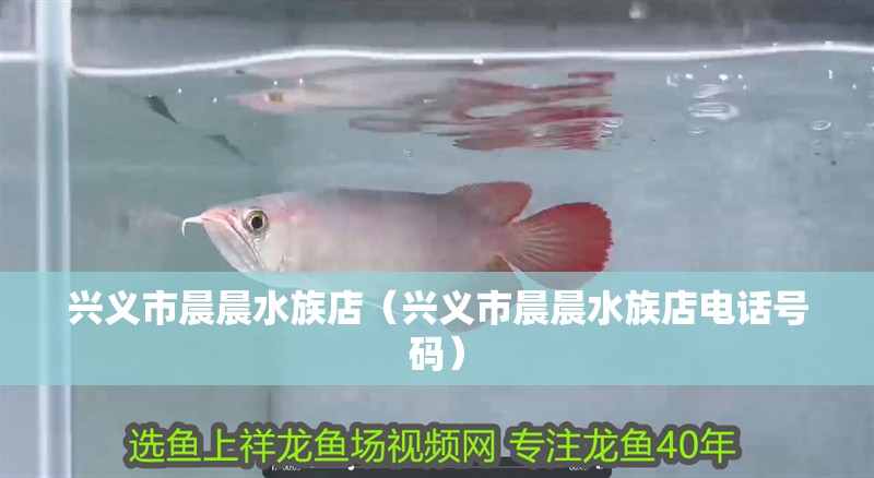 興義市晨晨水族店（興義市晨晨水族店電話號碼）