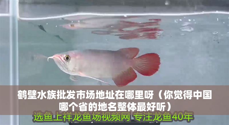 鶴壁水族批發(fā)市場地址在哪里呀（你覺得中國哪個省的地名整體最好聽）