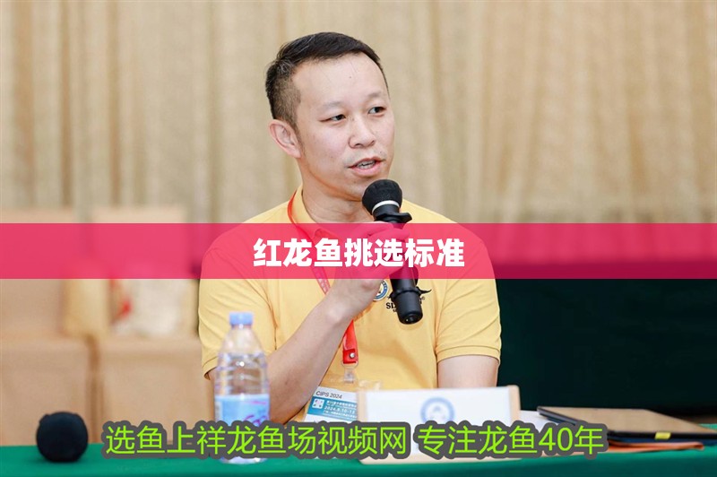 紅龍魚挑選標準 紅龍魚挑選標準 龍魚百科 第1張