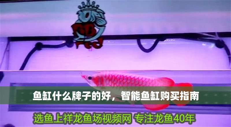 魚缸什么牌子的好，智能魚缸購買指南