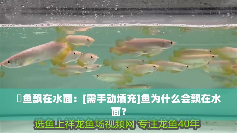 魟魚飄在水面：[需手動填充]魚為什么會飄在水面？