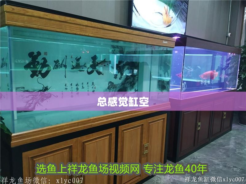 總感覺缸空 總感覺缸空 魚缸百科 第3張