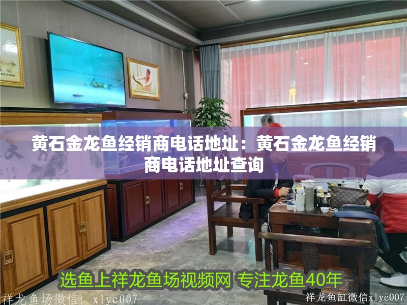 黃石金龍魚經銷商電話地址：黃石金龍魚經銷商電話地址查詢