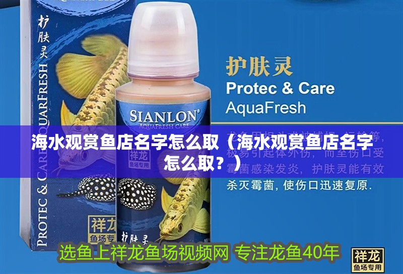 海水觀賞魚店名字怎么取（海水觀賞魚店名字怎么取？）