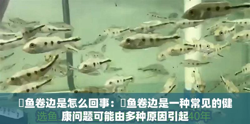 魟魚卷邊是怎么回事：魟魚卷邊是一種常見的健康問題可能由多種原因引起