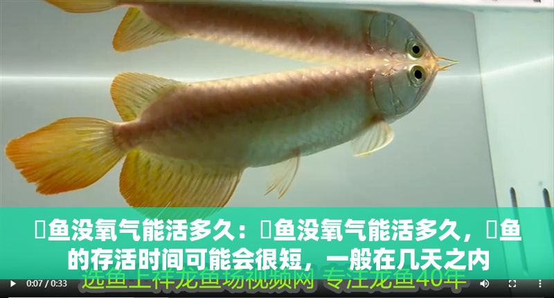 魟魚沒氧氣能活多久：魟魚沒氧氣能活多久，魟魚的存活時間可能會很短，一般在幾天之內(nèi)
