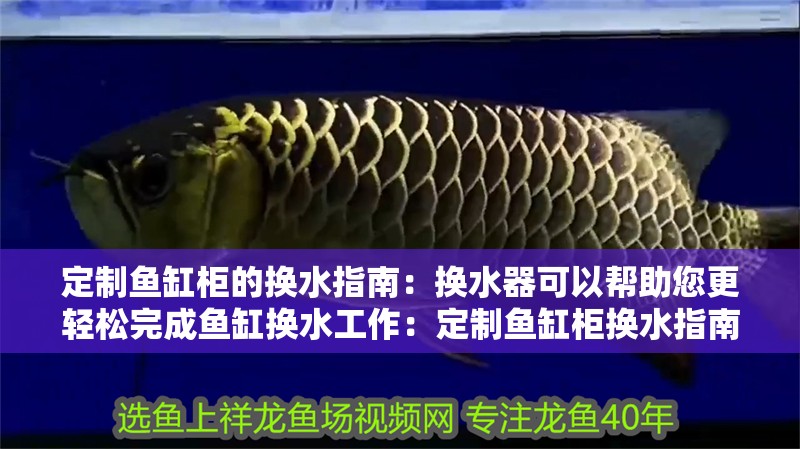 定制魚缸柜的換水指南：換水器可以幫助您更輕松完成魚缸換水工作：定制魚缸柜換水指南