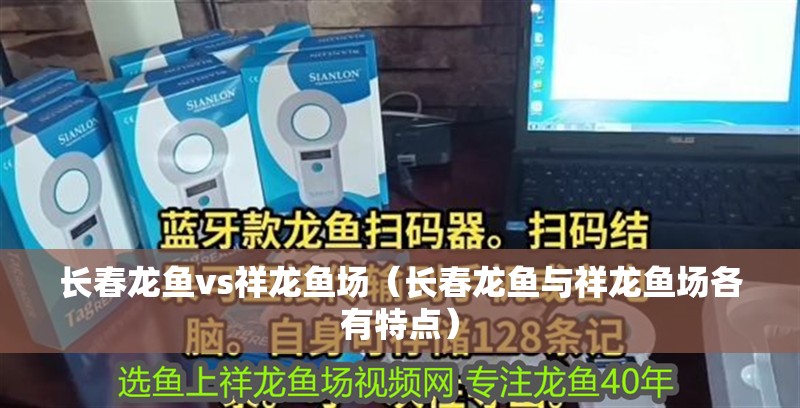 長春龍魚vs祥龍魚場(長春龍魚與祥龍魚場各有特點) 全國水族館企業名錄 第1張 長春龍魚vs祥龍魚場(長春龍魚與祥龍魚場各有特點) 長春龍魚vs祥龍魚場(長春龍魚與祥龍魚場各有特點) 全國水族館企業名錄 第1張