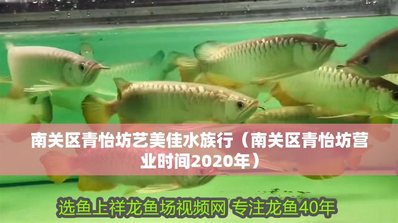 南關區青怡坊藝美佳水族行（南關區青怡坊營業時間2020年）