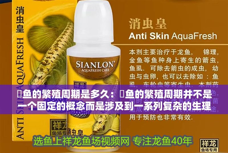 魟魚的繁殖周期是多久：魟魚的繁殖周期并不是一個(gè)固定的概念而是涉及到一系列復(fù)雜的生理和行為過程