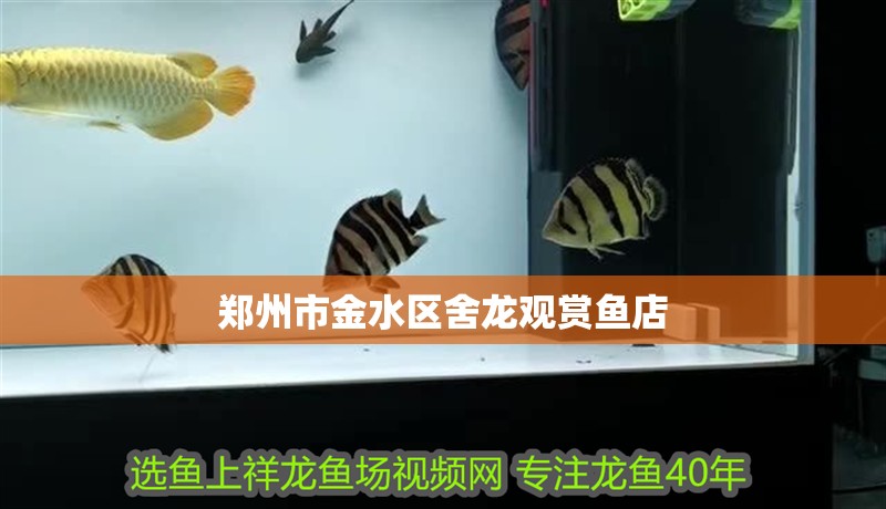 鄭州市金水區(qū)舍龍觀賞魚店
