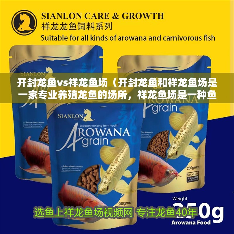 開封龍魚vs祥龍魚場(開封龍魚和祥龍魚場是一家專業養殖龍魚的場所,祥龍魚場是一種魚類) 全國水族館企業名錄 第1張 開封龍魚vs祥龍魚場(開封龍魚和祥龍魚場是一家專業養殖龍魚的場所,祥龍魚場是一種魚類) 開封龍魚vs祥龍魚場(開封龍魚和祥龍魚場是一家專業養殖龍魚的場所,祥龍魚場是一種魚類) 全國水族館企業名錄 第1張