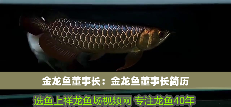 金龍魚董事長：金龍魚董事長簡歷