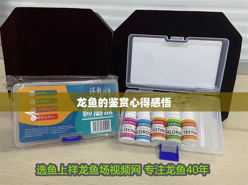 龍魚的鑒賞心得感悟