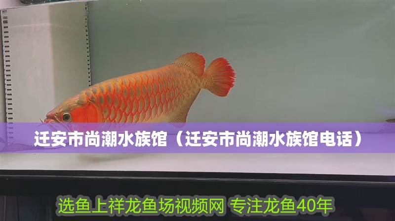 遷安市尚潮水族館（遷安市尚潮水族館電話）